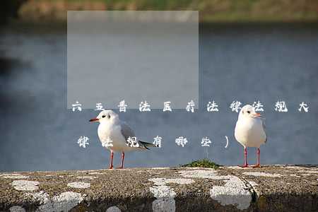 六五普法医疗法律法规大全(关于医保的法律法规有哪些)