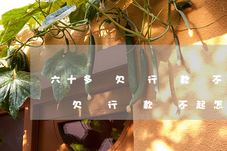 六十多歲欠銀行貸款還不起怎么辦-六十多歲欠銀行貸款還不起怎么辦呢