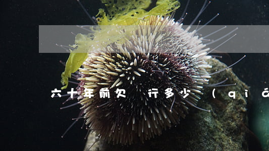 六十年前欠銀行多少錢(qián)