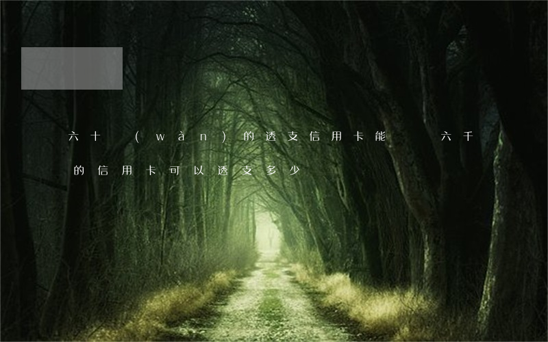 六十萬(wàn)的透支信用卡能辦嗎(六千的信用卡可以透支多少)