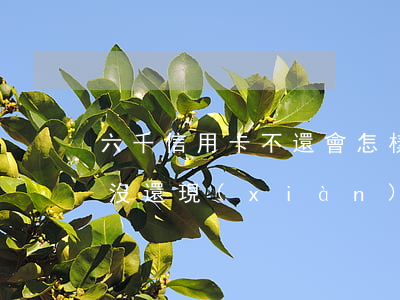 六千信用卡不還會怎樣(信用卡欠了6千一年沒還現(xiàn)在怎么處理)