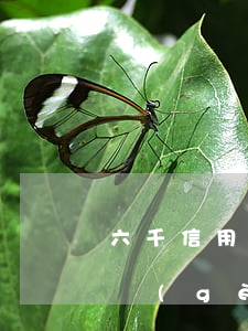 六千信用卡利息多少(信用卡60000元一個(gè)月利息多少)