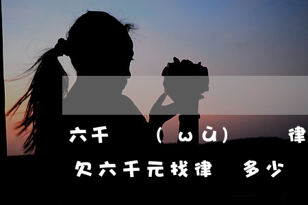 六千債務(wù)糾紛律師費(fèi)用(欠六千元找律師多少錢)