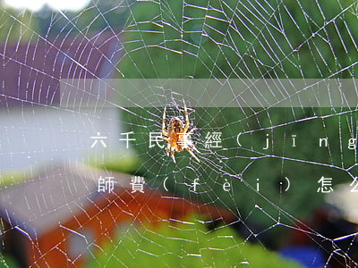 六千民事經(jīng)濟(jì)糾紛律師費(fèi)怎么算(一般的經(jīng)濟(jì)糾紛案律師費(fèi)是多少)