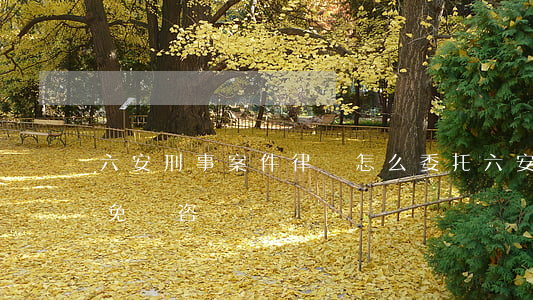 六安刑事案件律師怎么委托(六安律師事務所免費咨詢)