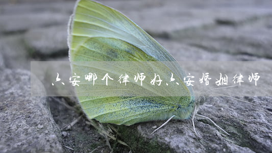 六安哪个律师好(六安婚姻律师)