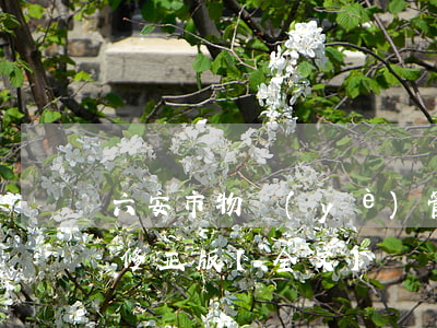 六安市物業(yè)管理條例2023最新修正版【全文】