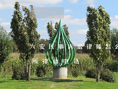 六安民事诉讼律师怎么委托(六安市律师事务所律师电话)