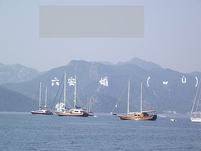 六安離婚債務(wù)糾紛律師(六安市離婚律師)