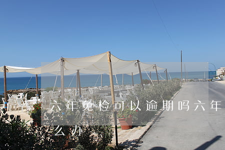 六年免检可以逾期吗(六年免检可以逾期吗怎么办)