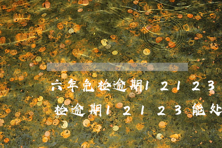 六年免检逾期12123能处理吗-六年免检逾期12123能处理吗?