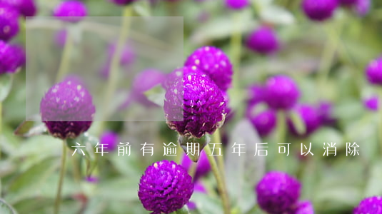 六年前有逾期五年后可以消除嗎-