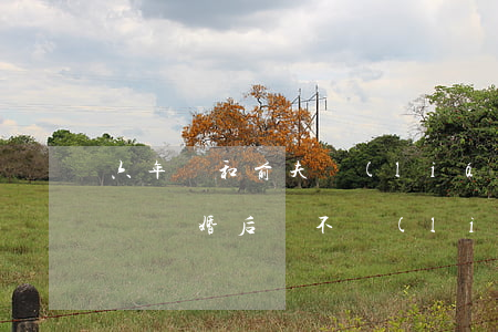 六年沒和前夫聯(lián)系了能算離婚嗎(離婚后從不聯(lián)系前夫)