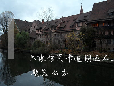 六张信用卡逾期还不上怎么办(6张信用卡逾期怎么办)