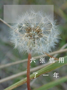 六张信用卡逾期还不起了(好几张信用卡逾期了一年)