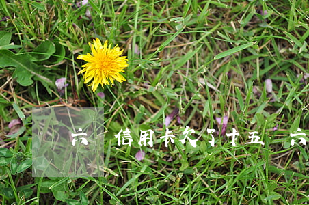六張信用卡欠了十五萬（六張信用卡欠了十五萬）