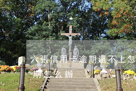 六張信用卡逾期還不上怎么辦(6張信用卡逾期怎么辦)