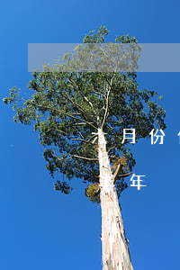 六月份信用卡有逾期已還清(信用卡6萬逾期半年)