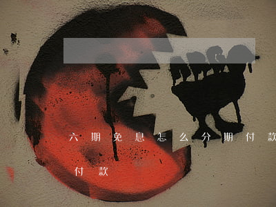 六期免息怎么分期付款的（六期免息怎么分期付款）
