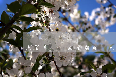 六百多塊錢的逾期(超過六百塊錢)