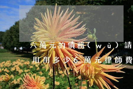 六萬元的債務(wù)請律師費(fèi)用用多少(6萬元律師費(fèi)是多少)