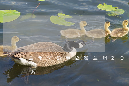 兰州交通事故案(兰州2011年特大交通事故)