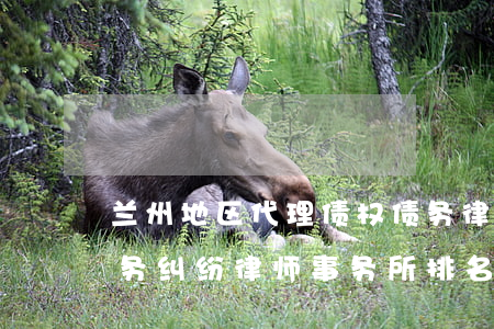 兰州地区代理债权债务律师哪里找-兰州债务纠纷律师事务所排名