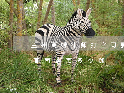 兰州离婚律师打官司要多少钱(找律师打离婚官司需要多少钱)