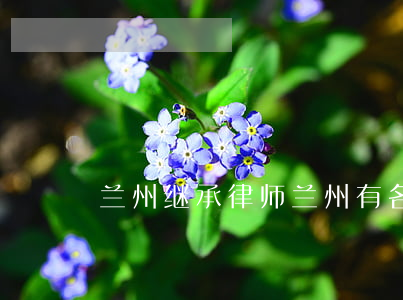 兰州继承律师(兰州有名律师)