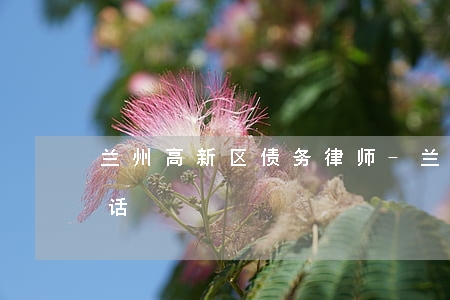 兰州高新区债务律师-兰州新区律师联系电话
