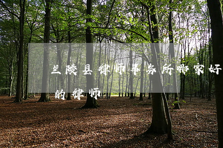 兰陵县律师事务所哪家好(甘肃省兰州市最好的律师)