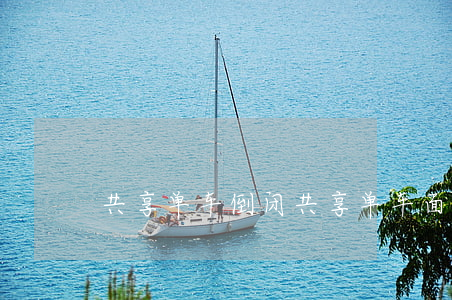 共享单车倒闭(共享单车面临的困境)