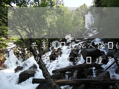 共享汽車撞死人保險(xiǎn)公司賠多少錢(共享汽車撞了要賠錢嗎)