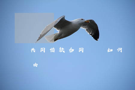 共同借款合同糾紛如何處理(借用合同糾紛案由)