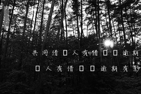共同借貸人有借貸沒逾期有影響嗎-共同借貸人有借貸沒逾期有影響嗎怎么辦