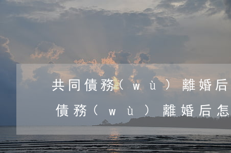 共同債務(wù)離婚后怎么辦(離婚前共同債務(wù)離婚后怎么辦)
