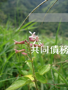 共同債務(wù)離婚如何處理