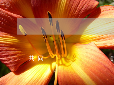 共同償還與連帶償還的區(qū)別是什么