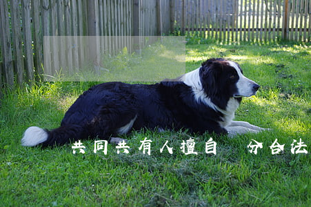 共同共有人擅自處分合法嗎