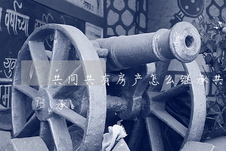 共同共有房产怎么继承(共同共有房产 如何继承)