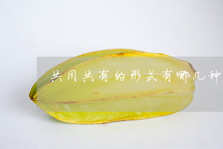 共同共有的形式有哪几种