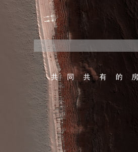 共同共有的房子赠予他人有效吗