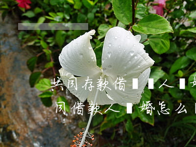 共同存款借給別人離婚了怎么辦(夫妻作為共同借款人離婚怎么辦?)
