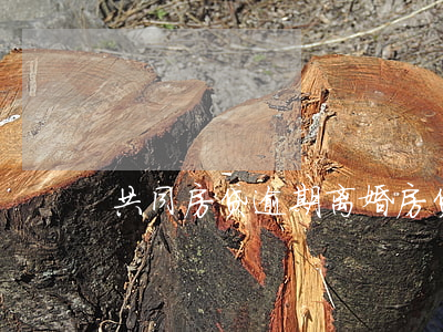 共同房贷逾期离婚(房贷连续逾期)