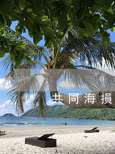 共同海損一定要有損失嗎