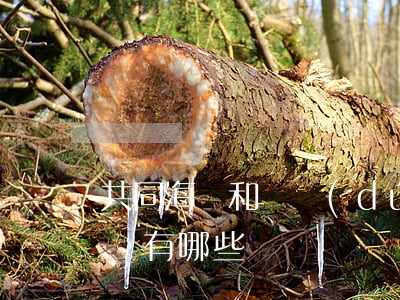 共同海損和單獨(dú)海損的區(qū)別有哪些