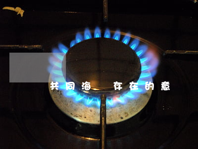 共同海損存在的意義