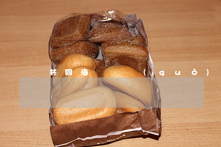 共同海損與過(guò)失的立法模式