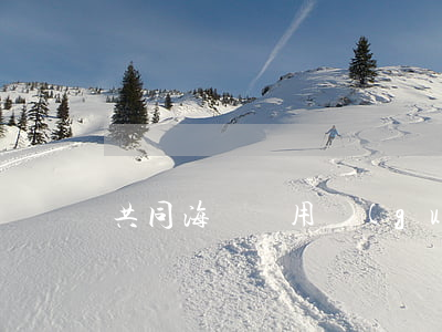 共同海損適用規(guī)則
