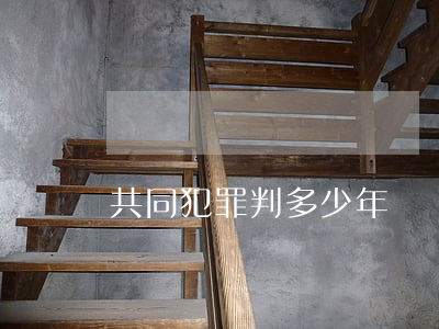 共同犯罪判多少年